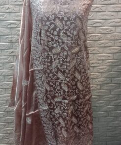 PARI SUIT EMBRIODERY WORK--00058