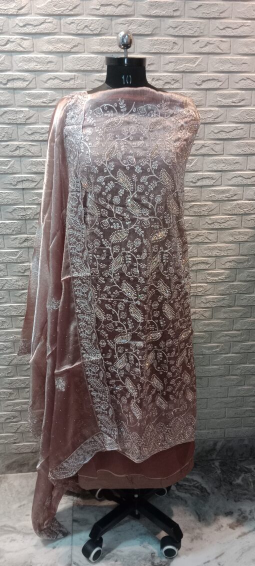 PARI SUIT EMBRIODERY WORK--00058