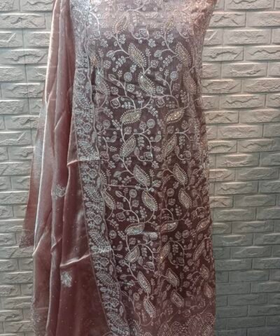 PARI SUIT EMBRIODERY WORK--00058